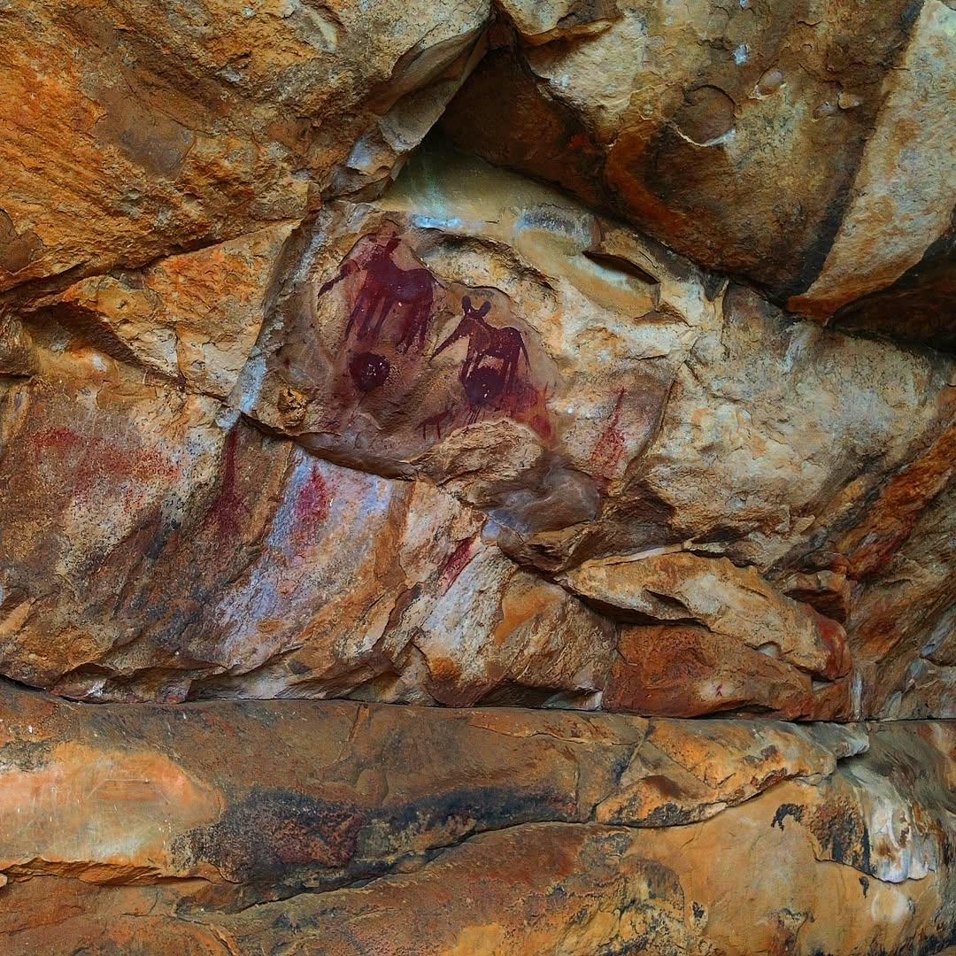 Rock art visible on stone near Awelani