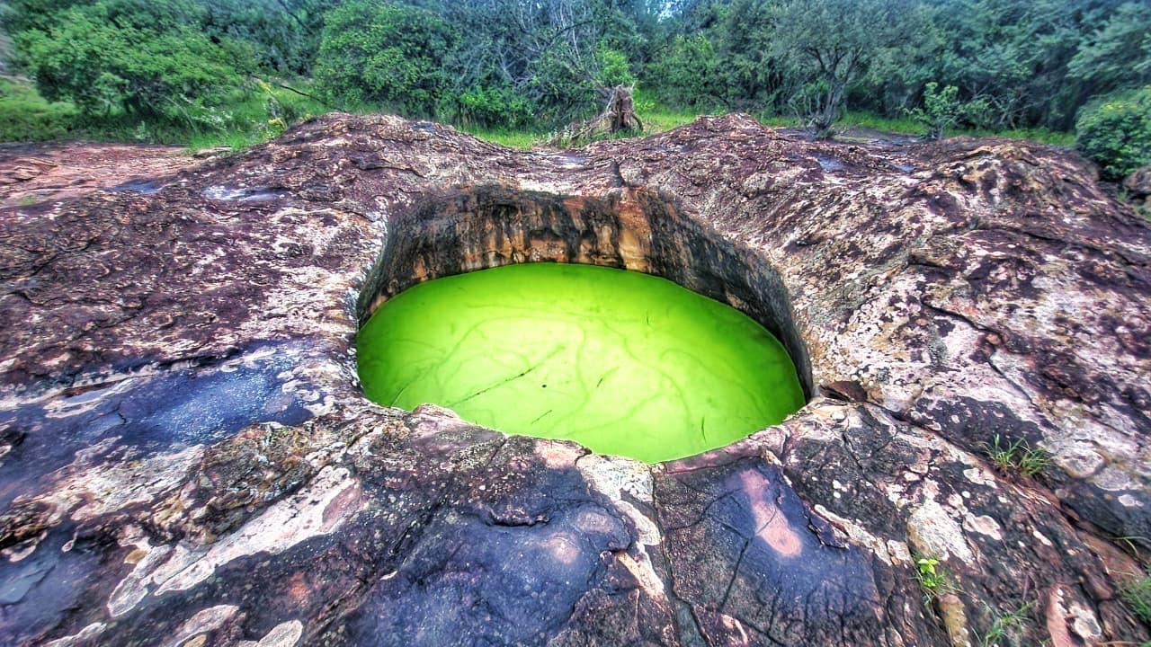 Green natural rock pool in the Awelani landscape