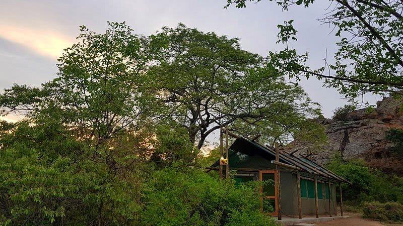 Awelani accommodation tucked between trees and rocky outcrops